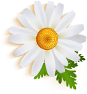 about-3-4-bee