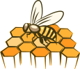 about-shape-bee
