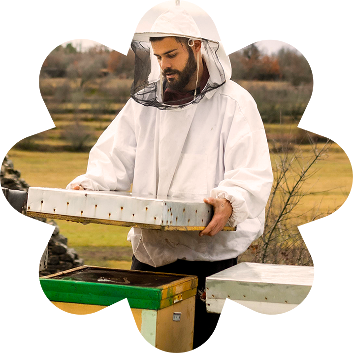 medium-shot-man-checking-bees